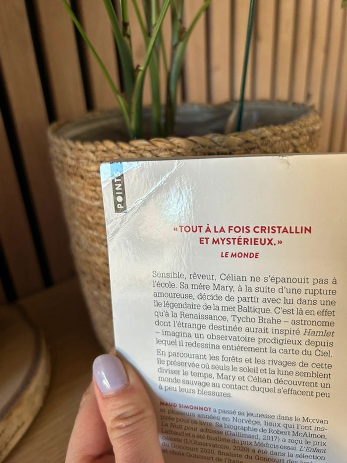 Livre L’enfant Céleste - photo numéro 3