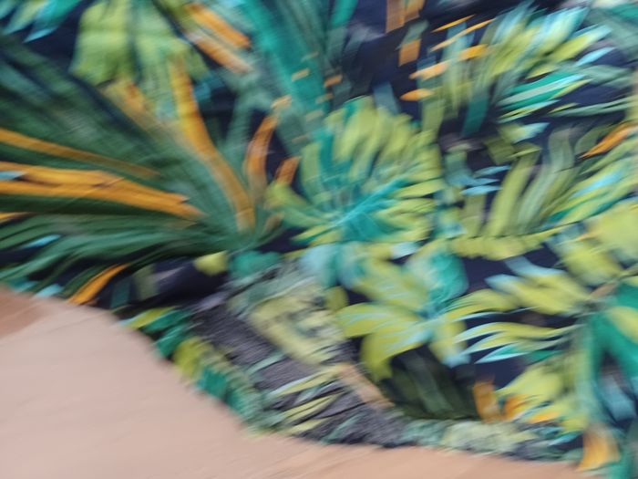 Robe tropicale - photo numéro 8