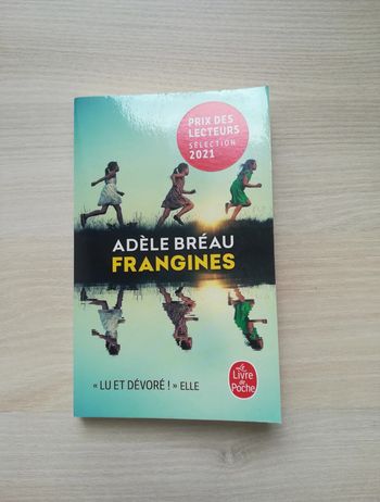Livre Les Frangines - V92B