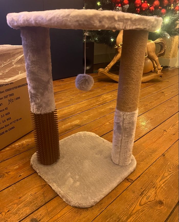 Arbre à griffes - photo numéro 3