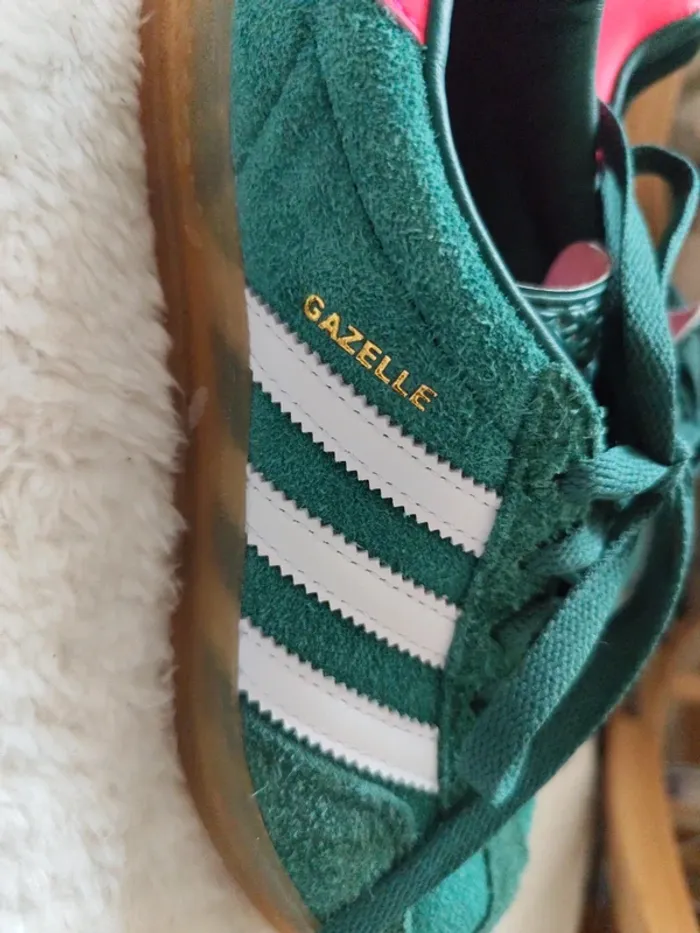 Gazelle - photo numéro 5