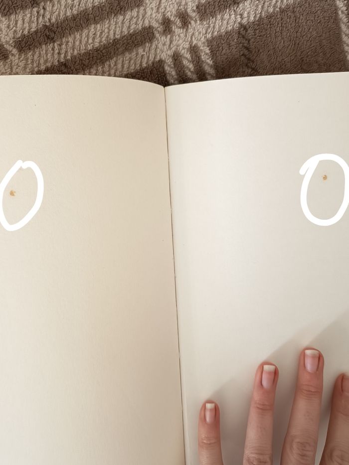 📖 Livre Humoristique 📖 - photo numéro 7