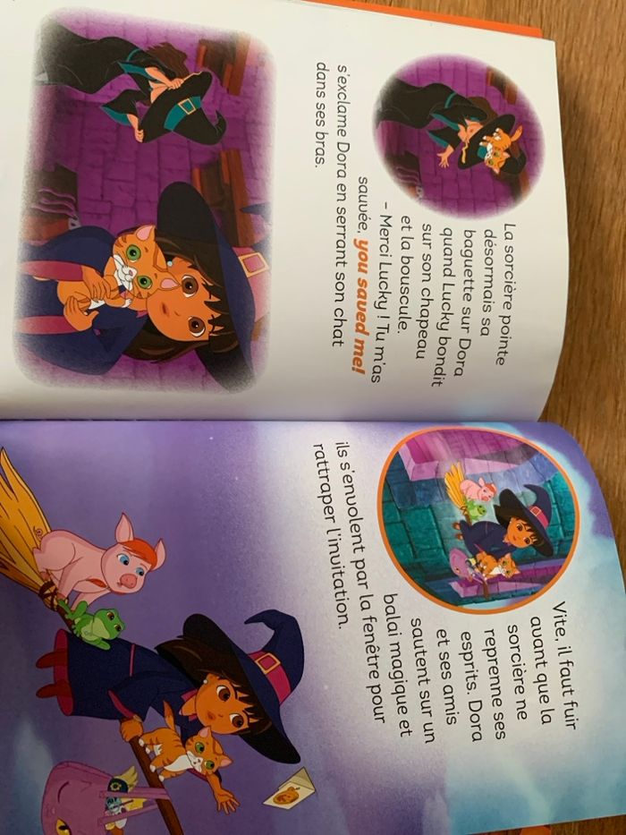 Livre Dora - photo numéro 3