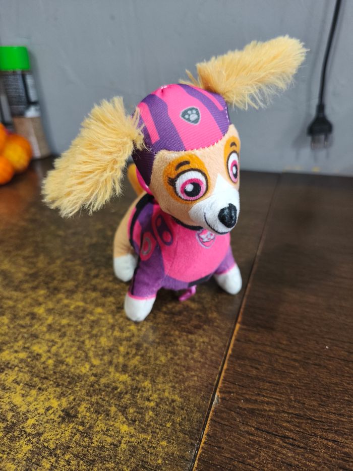 Pat patrouille - photo numéro 2