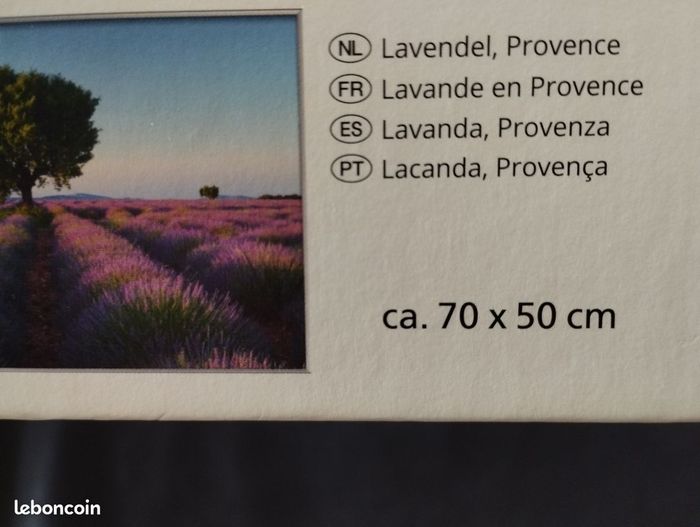 Puzzle 1000 pièces - photo numéro 4
