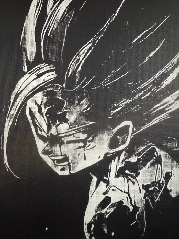 Tableau Gohan attaque finale Dragon Ball en toile 30x40cm - photo numéro 5