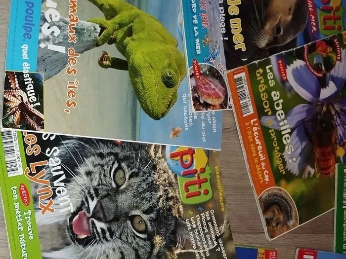 Lot de 7 magazines Wapiti année 2008 L024  7584488818 - photo numéro 8