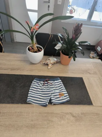 Short de piscine garçon 12 mois Vertbaudet