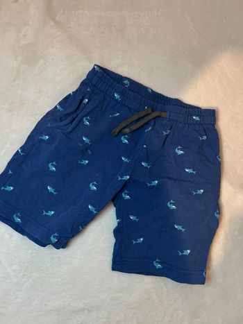 Short requin
