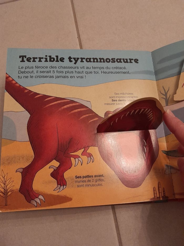 Kididoc les dinausaures - photo numéro 4