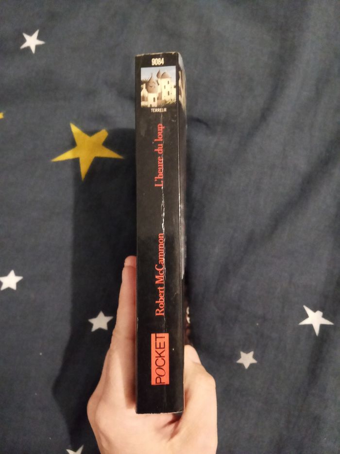 Livre (95) 📚 L'heure du loup - photo numéro 3