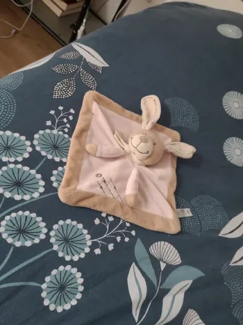 Lapin plat rose