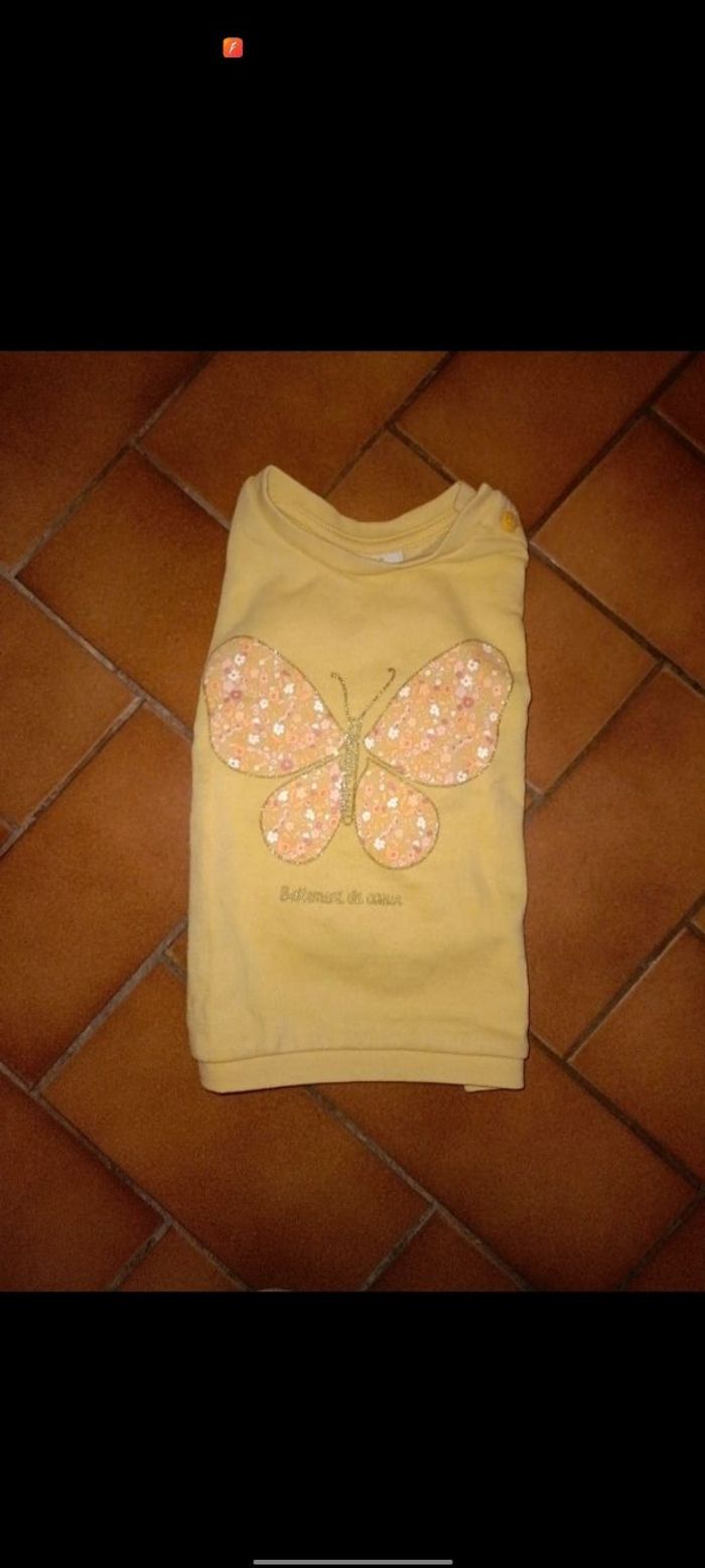 Pull papillon 🦋