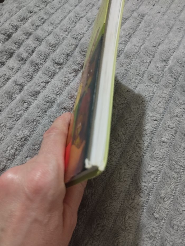 Livre Mini Loup veut devenir grand - photo numéro 9