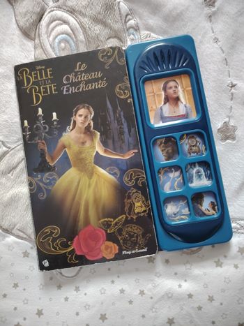 Livre la belle et la bête