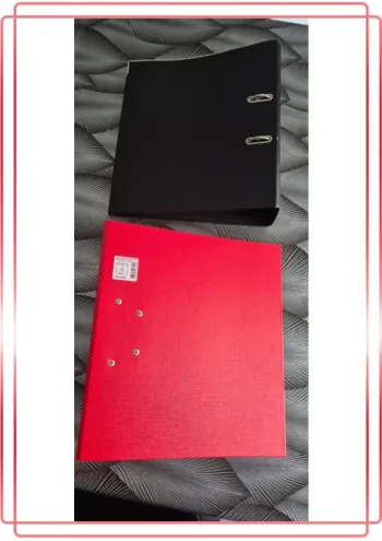 Lot de 2 gros classeurs