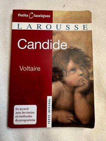 Candide de voltaire