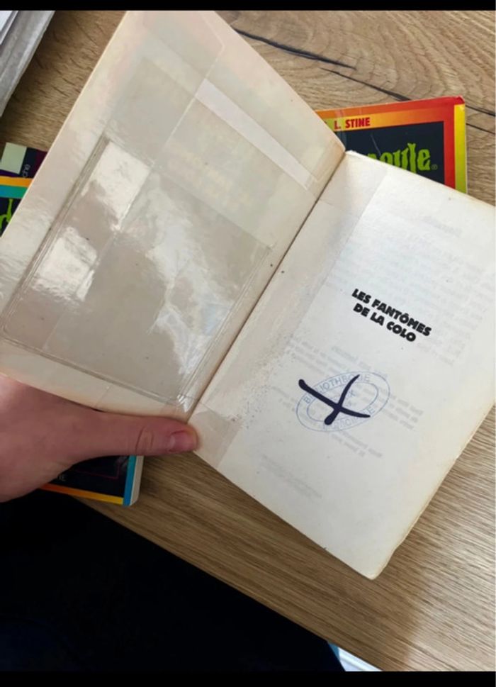 Lot de 4 Livres de la Collection Chair de Poule Enfants-Ados/Possibilité de prendre à l’unité - photo numéro 8