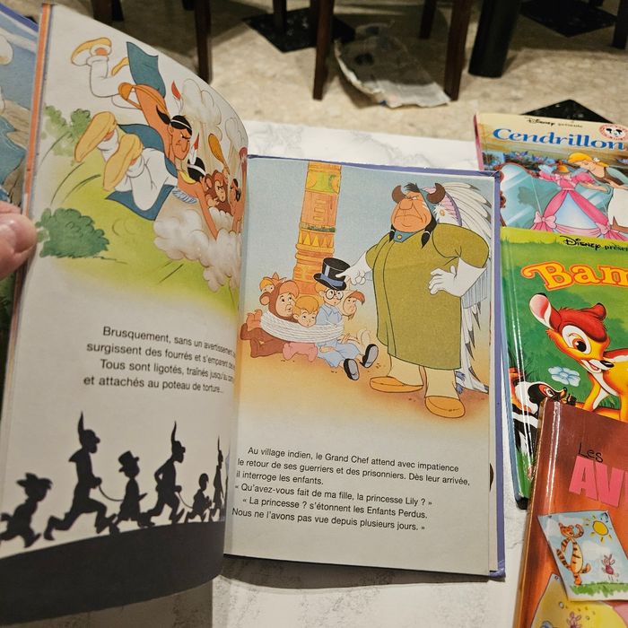 lot de livres Disney - photo numéro 9