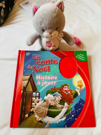 Livre un conte de noël