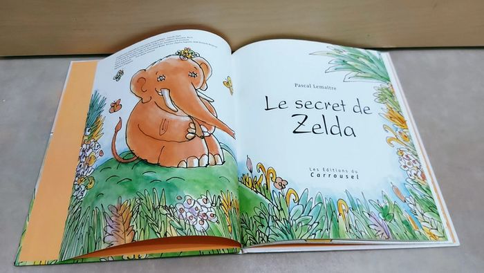 📚 Livre : Le secret de Zelda - photo numéro 3