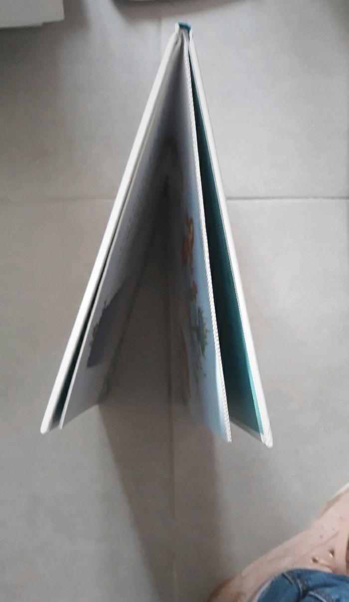 Livre Princesse Sofia Disney - photo numéro 4