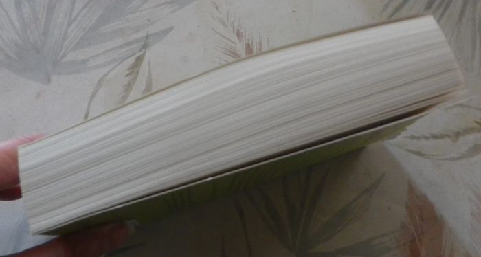 Lizzy Harrison pète les plombs de Pippa Wright Ed. Piment - photo numéro 4