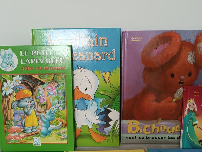 Lot de livres - photo numéro 2