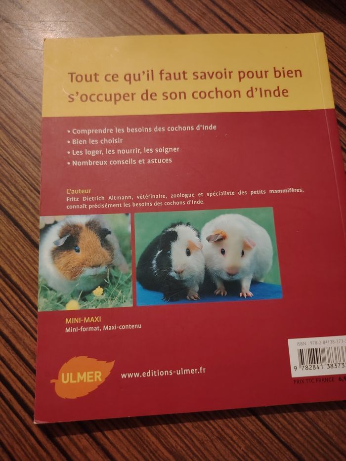 Cochon d'Inde - photo numéro 2