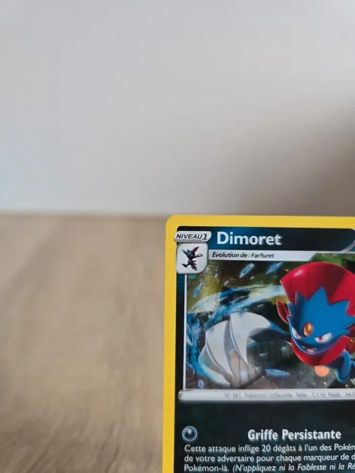 Dimoret SWSH246 - photo numéro 2