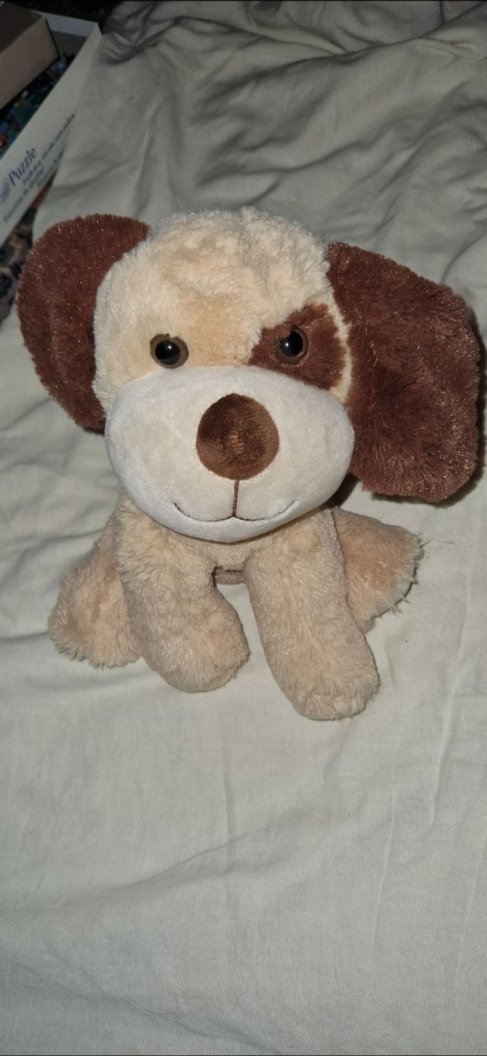 Chien - photo numéro 2