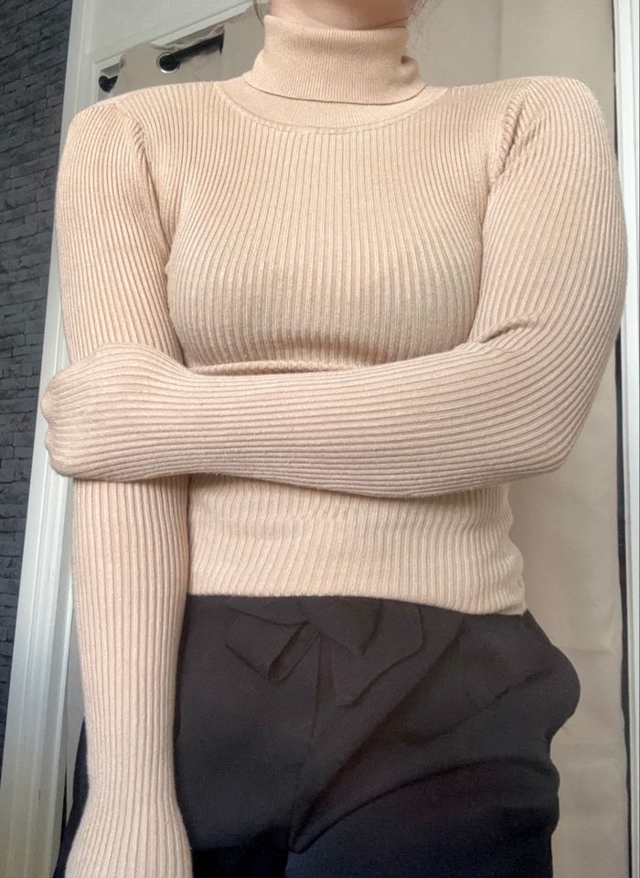 Pull col roulé / montant - photo numéro 1