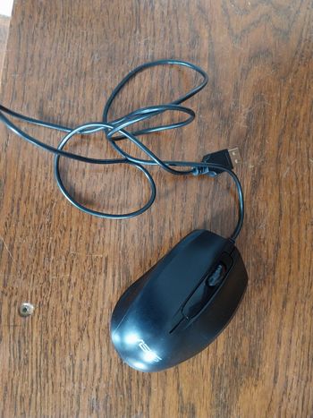 Souris filaire