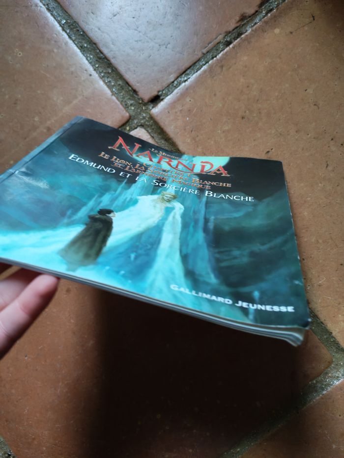 Le Monde de Narnia, chapitre 1 Edmund et la Sorcière Blanche - photo numéro 7