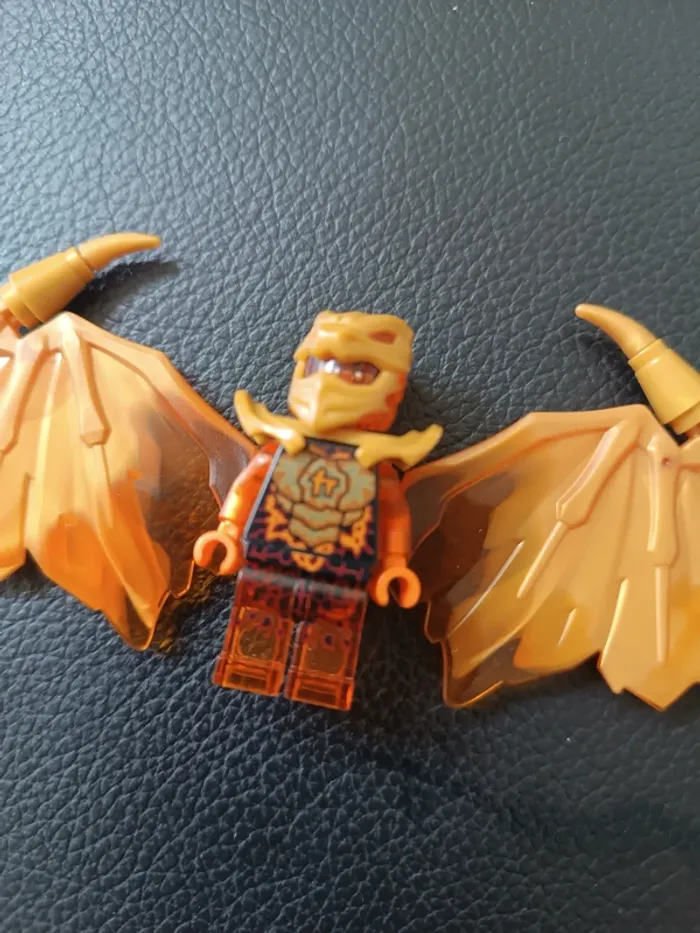 LEGO Ninjago cole - photo numéro 2