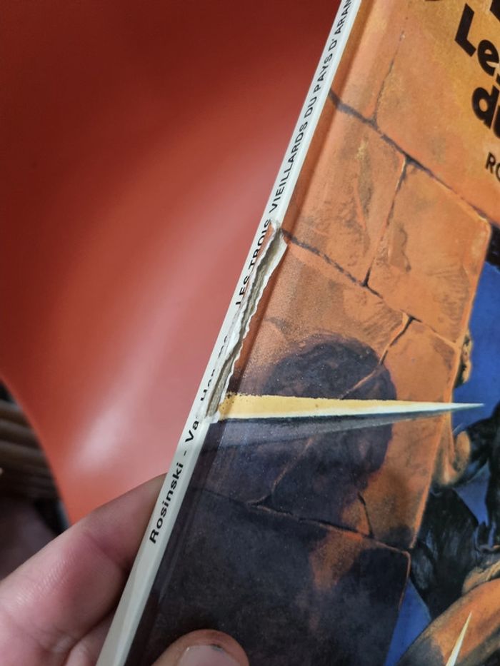 lot de Bd Thorgal Jean Van Hame et grzegorz Rosinski - photo numéro 5