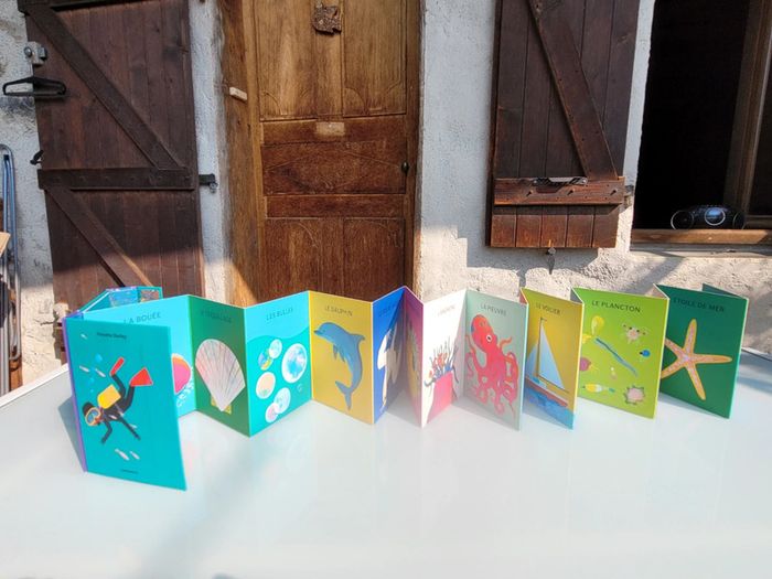 Superbe livre accordéon Amaterra 🪸 Sous la Mer 🐡 - photo numéro 14