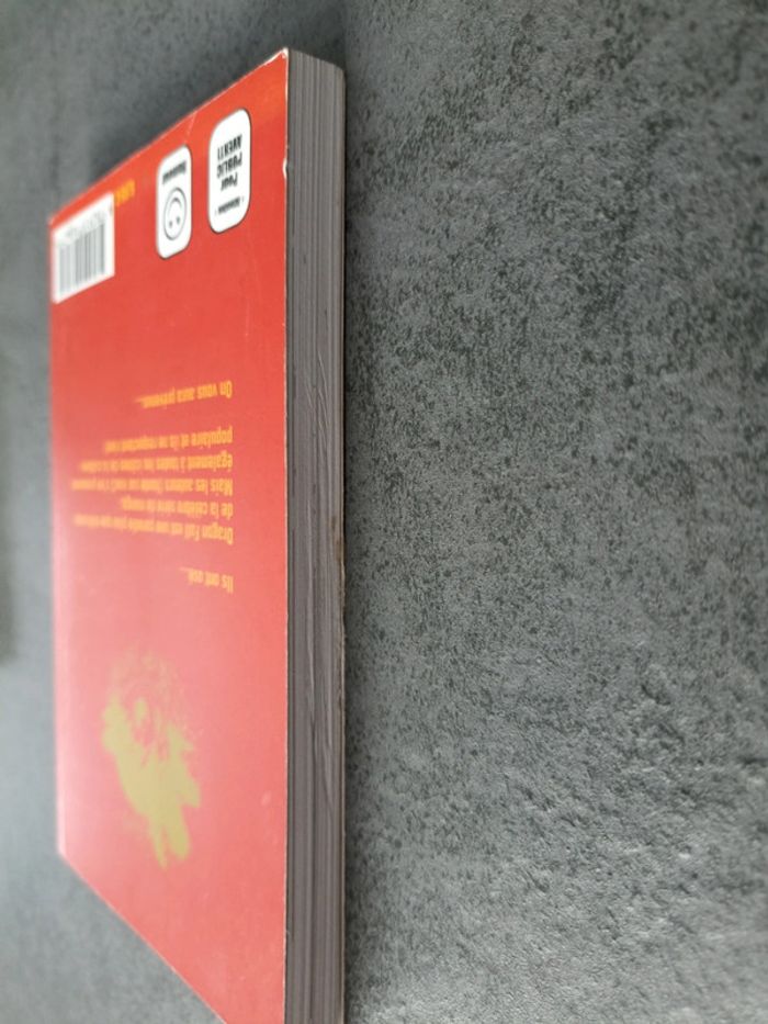 Dragon fall 4 - photo numéro 4