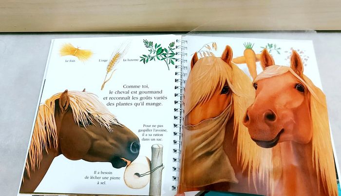 📚 Livre mes premières découvertes : Le cheval - photo numéro 3
