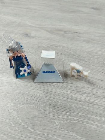 Playmobil princesse des glaces