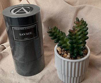 Collection authentique