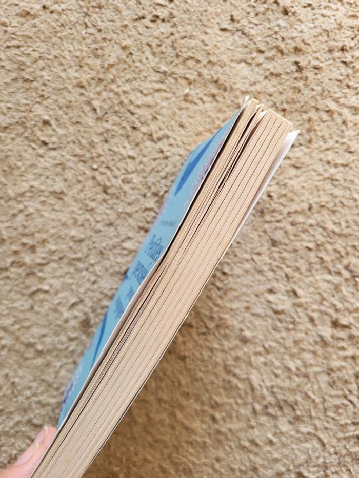 Livre Petites pensées pour voyager léger de Françoise Réveillet - Développement personnel - photo numéro 3