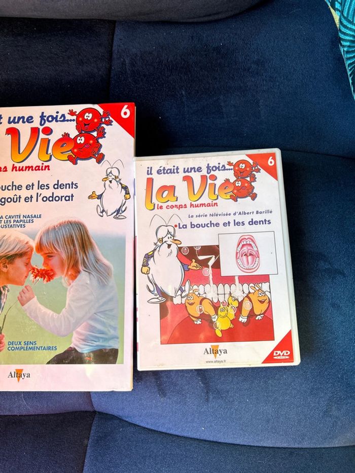 Livre et dvd numéro 6 collection la vie le corps humain - photo numéro 3