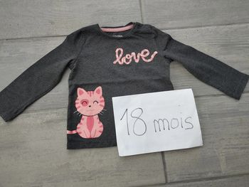 Lot n° 430 T-shirt manches longues In Extenso 18 mois