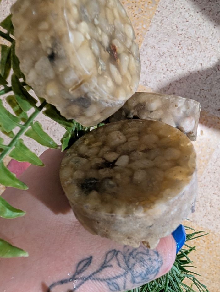 Plantes artificielles aquarium - photo numéro 8