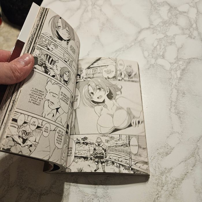 Manga - photo numéro 2