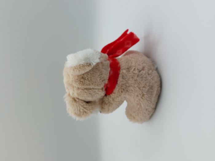 Doudou peluche Koala beige marron blanc PRIMATIS écharpe rouge 18 cm TTBE - photo numéro 3