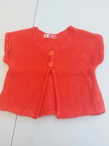 Gilet DP.  am