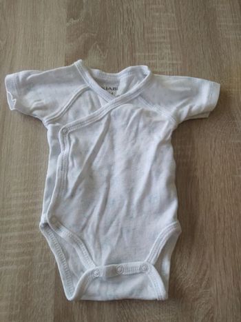 Body