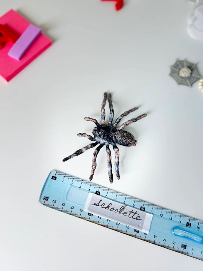 Cycle de vie: L'araignée - Lot de 4 figurines - photo numéro 11